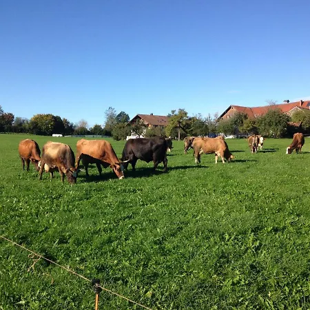 Apartman Mockenhof Argenbühl