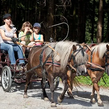Mockenhof * Argenbühl