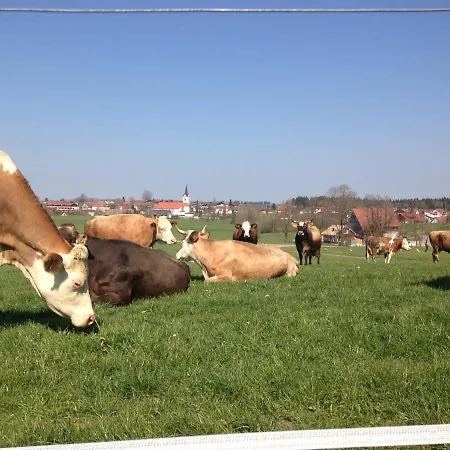 Mockenhof Apartman Argenbühl