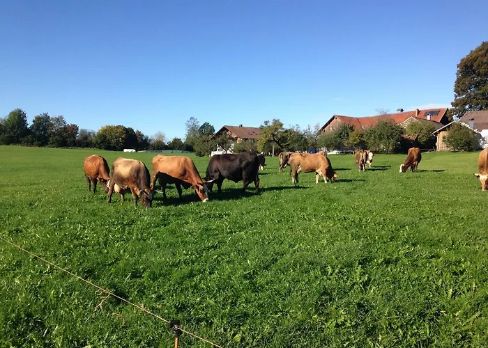 Appartement Mockenhof Argenbuhl