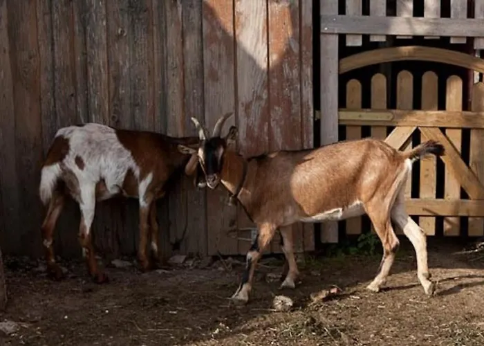 Appartement Mockenhof Argenbuhl