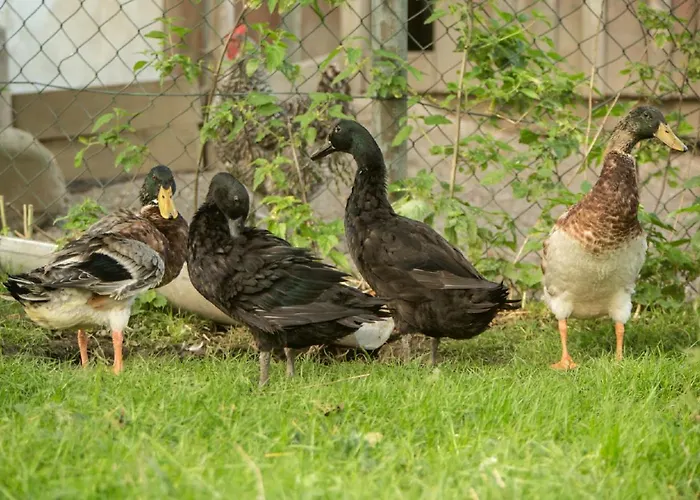 Mockenhof Appartement Argenbuhl