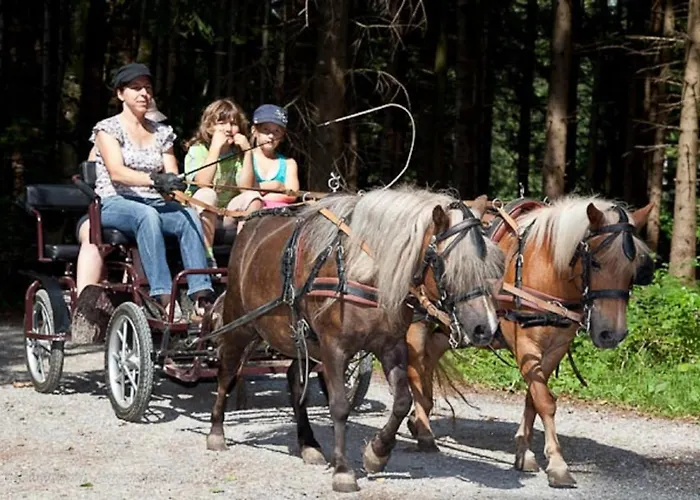 Mockenhof * Argenbuhl