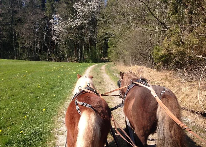 Mockenhof Appartement Argenbuhl