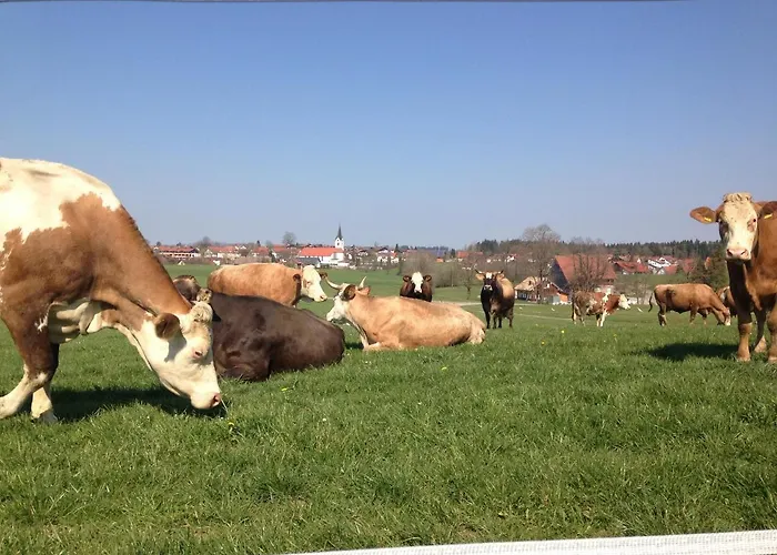 Mockenhof Appartement Argenbuhl